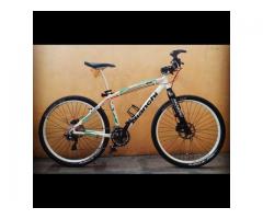 Bianchi Mountain Bike size 26
