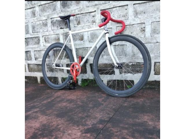 celt fixie bike