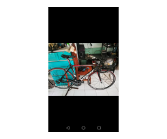 Ridley Orion Small