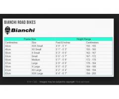 Bianchi Oltre XR4 Frameset